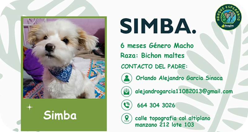 /web/img/pasapet-web.png